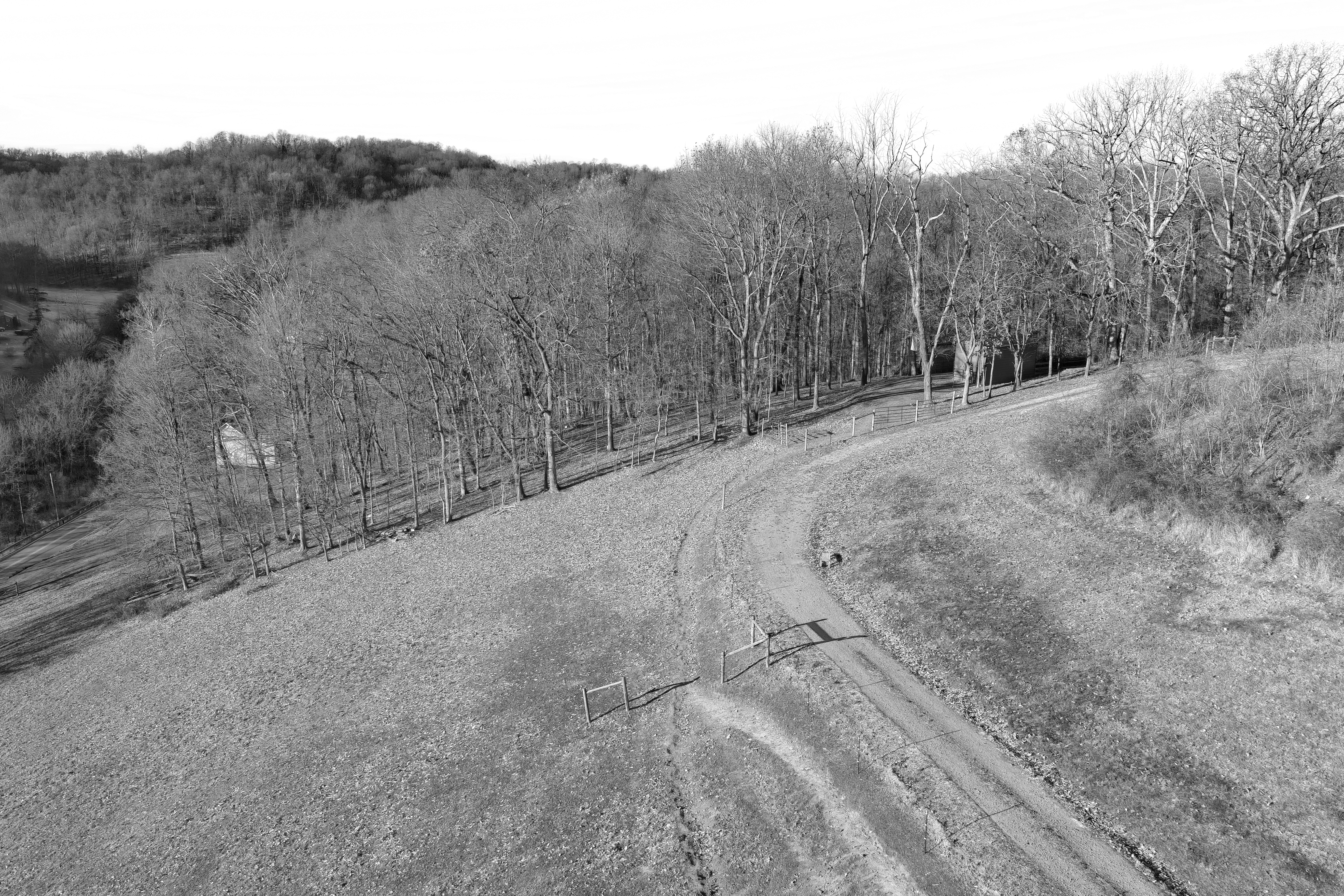 Autumn change. Charleroi, PA (black & white)