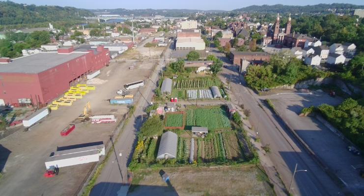 City garden. Braddock, Pennsylvania (color)