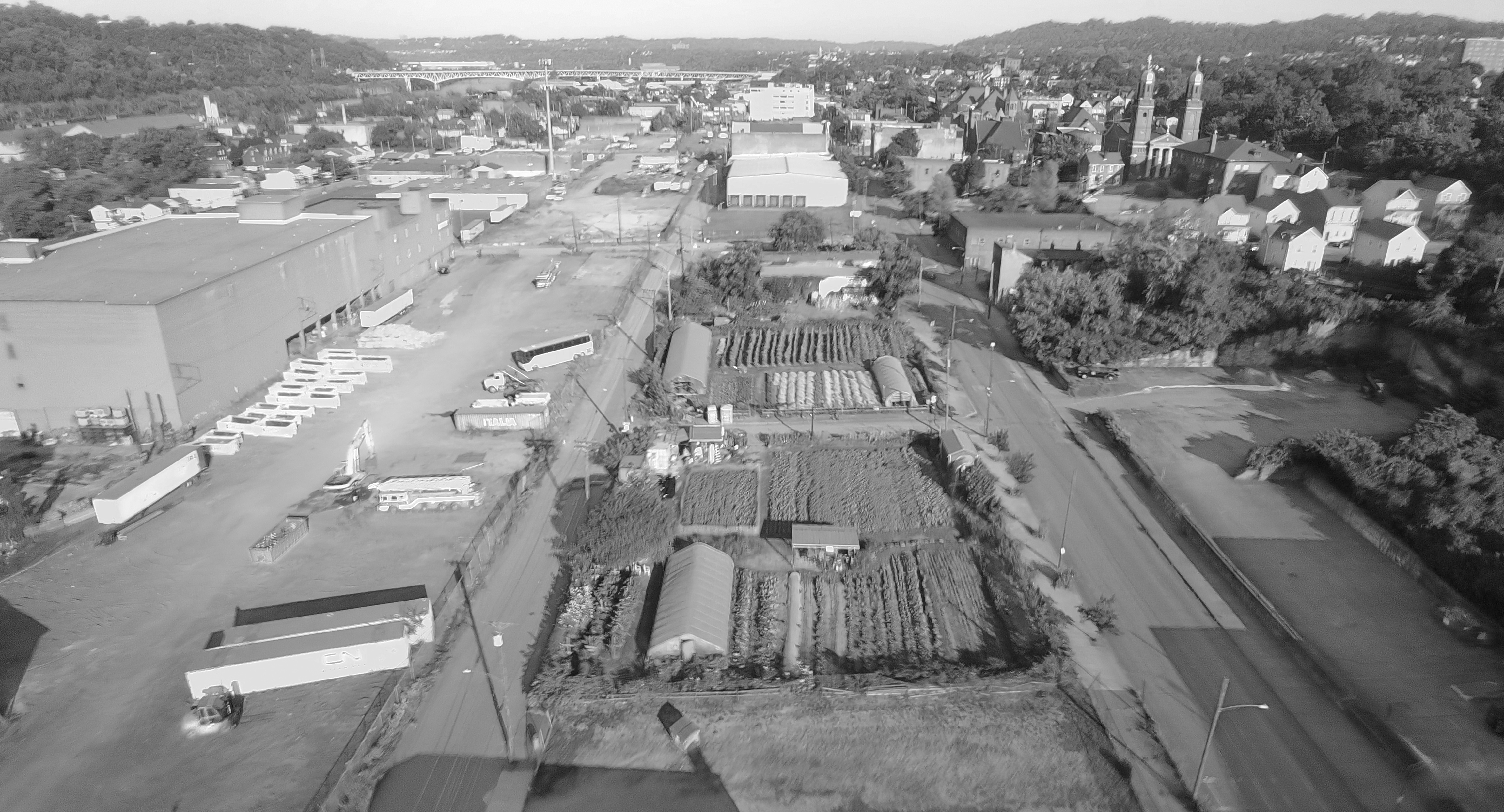 City garden. Braddock, Pennsylvania (black & white)
